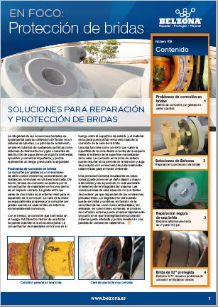 Protección de bridas